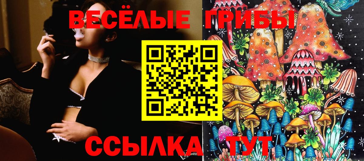 Псилоцибиновые грибы Psilocybine cubensis Псков