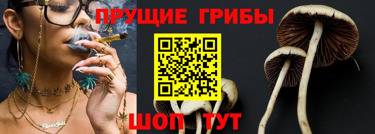 Псилоцибиновые грибы Psilocybine cubensis  Вход с VPN  Псков  Псилоцибиновые грибы мухоморы 